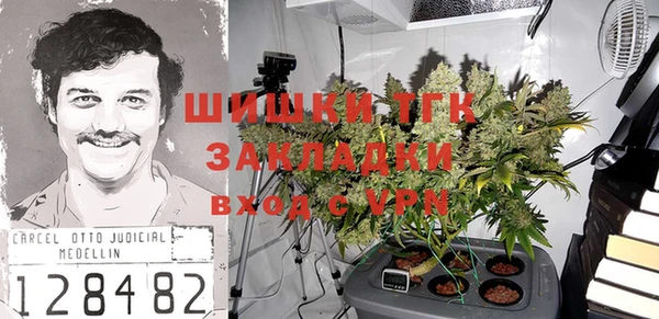 твердый Балахна
